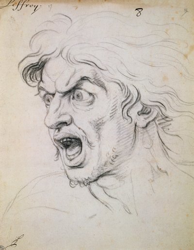 The Head of a Man Screaming in Terror (detail) by Charles Le Brun